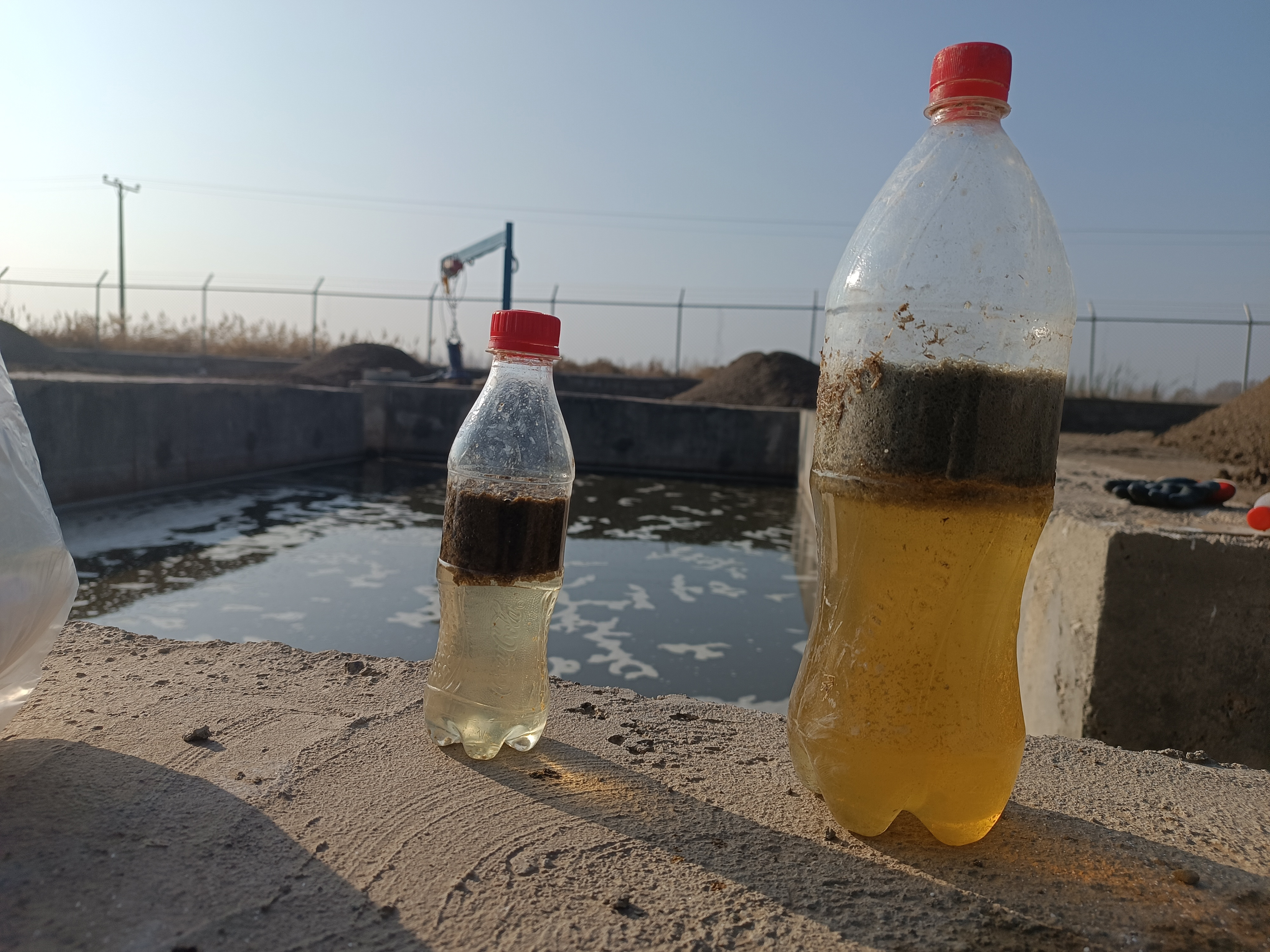 دامداری آذر نگین